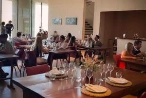 Rundvisning på 3 vingårde i Maipú med frokost + olivenlunde