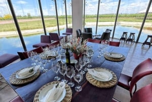 Rundvisning på 3 vingårde i Maipú med frokost + olivenlunde