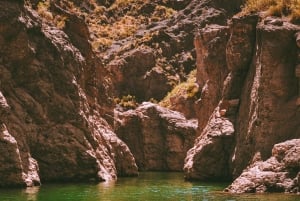 Tour of Atuel Canyon to get to know San Rafael - Mendoza in one day