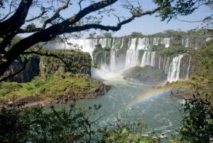 Från Foz do Iguaçu: Argentinska falltur med upphämtning