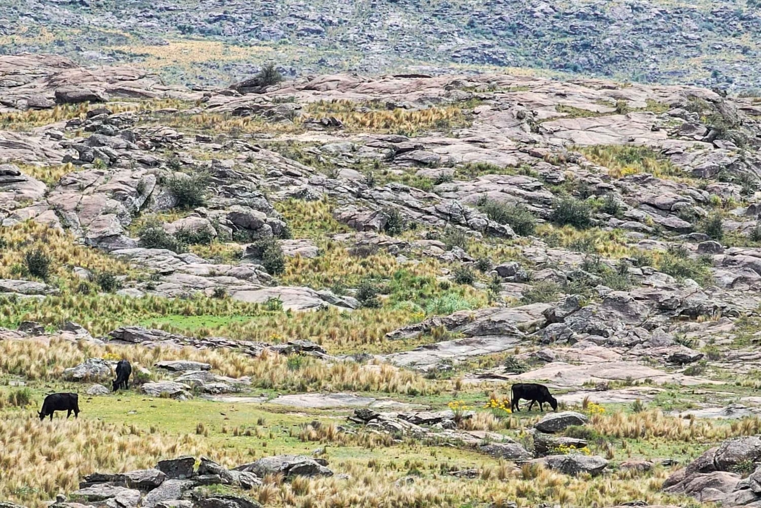Tur til Mina Clavero og Valle de Traslasierra: Utsiktspunktet i Córdoba