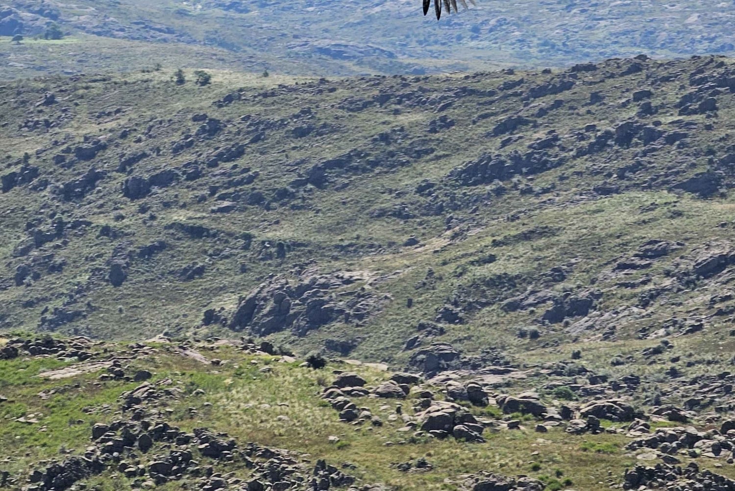 Tur til Mina Clavero og Valle de Traslasierra: Utsiktspunktet i Córdoba