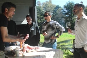 Tradisjonell asado og vinsmaking med en kokk og sommelier