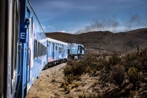 Trein naar de wolken - Bus/Trein/Busdienst - Salta (ARG)