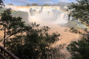 TRANSFER TO ARGENTINA CATARATAS