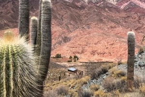 TREK CORAZÓN HORNOCAL ALL INCLUSIVE 4 PÄIVÄÄ + IN/OUT AIRPORT