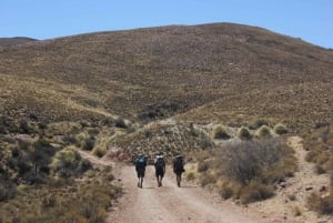 TREK CORAZÓN HORNOCAL ALL INCLUSIVE 4 PÄIVÄÄ + IN/OUT AIRPORT