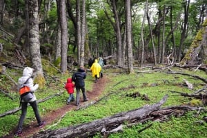 Vaellusseikkailu: El Chalténin tutkimusretki, johon sisältyy lounas.