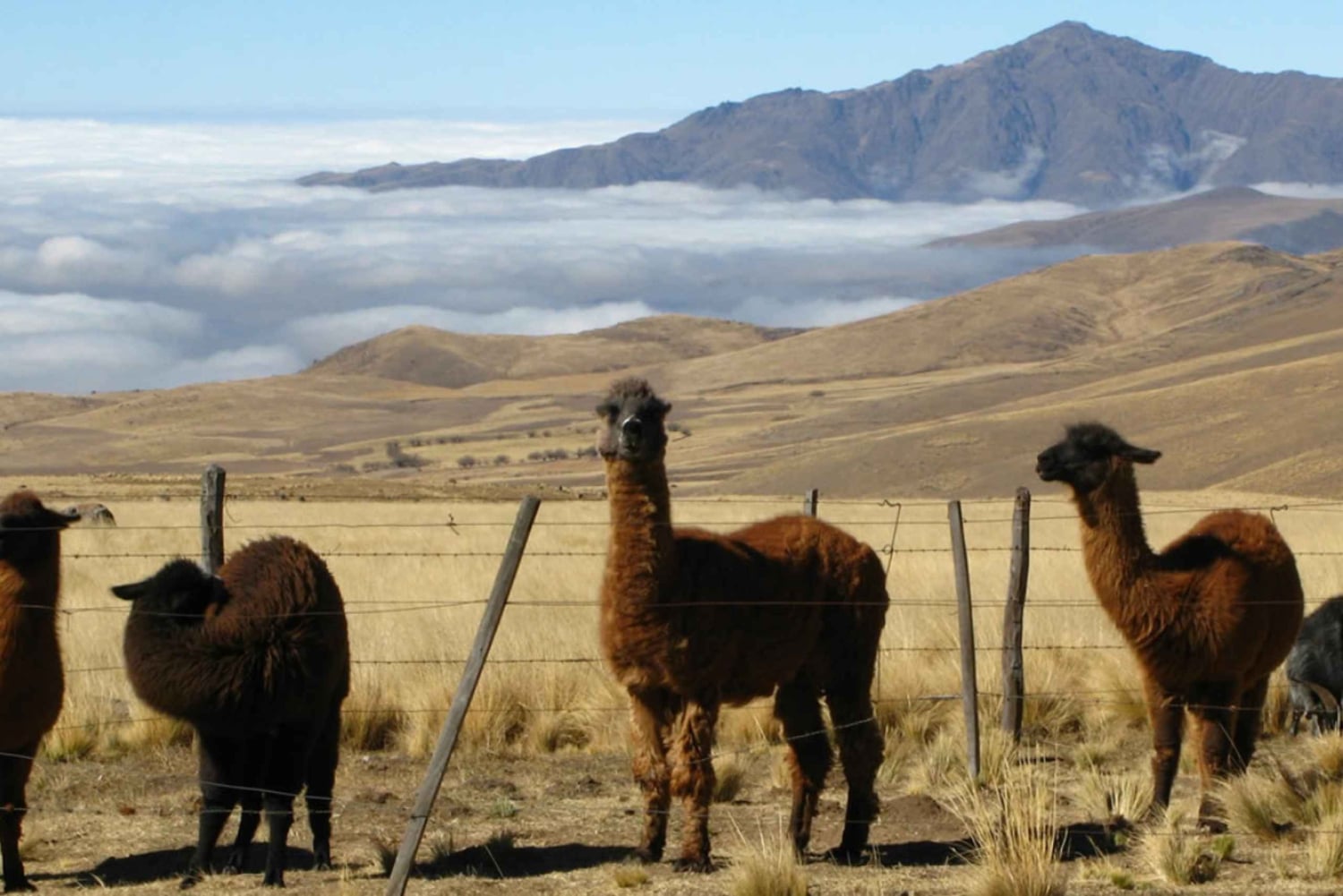 Tucumán: Tafí del Valle Ganztagestour