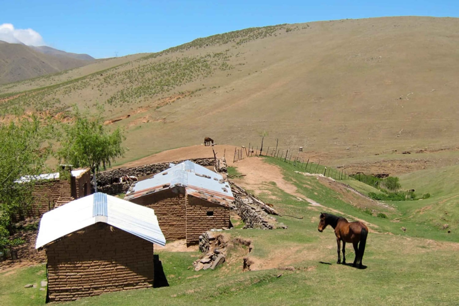 Tucumán: Tafí del Valle Ganztagestour