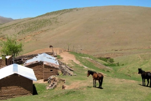 Tucumán: Całodniowa wycieczka do Tafi del Valle