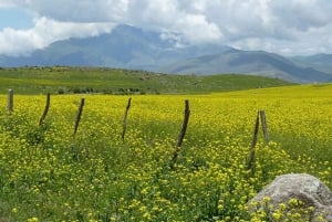 Tucumán : Excursion d'une journée complète à Tafí del Valle