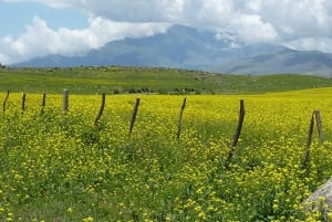 Tucumán: Tafí del Valle Ganztagestour