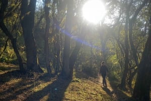 Tucuman: Trekking og fotturer i Vieja Usina de la Quebrada de Lules