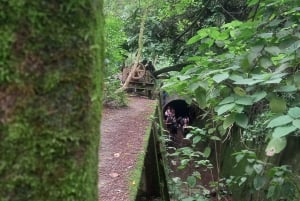 Tucuman: Trekking and hiking in the Old Power Plant of the Quebrada de Lules