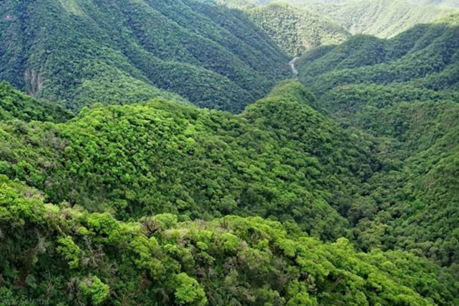 Tucumán: Yungas og dens landskap