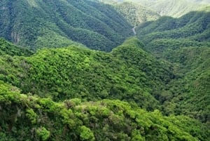 Tucumán: Yungas och dess landskap