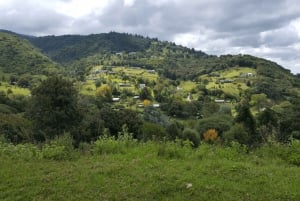 Tucumán: Yungas e i suoi paesaggi