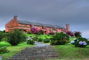 Tucumán: Yungas e suas paisagens