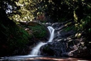 Tucumán: Yungas og dens landskap