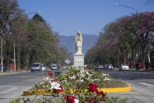 Tucumán: Yungas en zijn landschappen