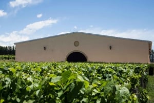 Uco Deluxe: De bedste vingårde og en ægte 'asado argentino'