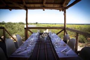 Uco Deluxe: Best wineries and a real 'asado argentino'
