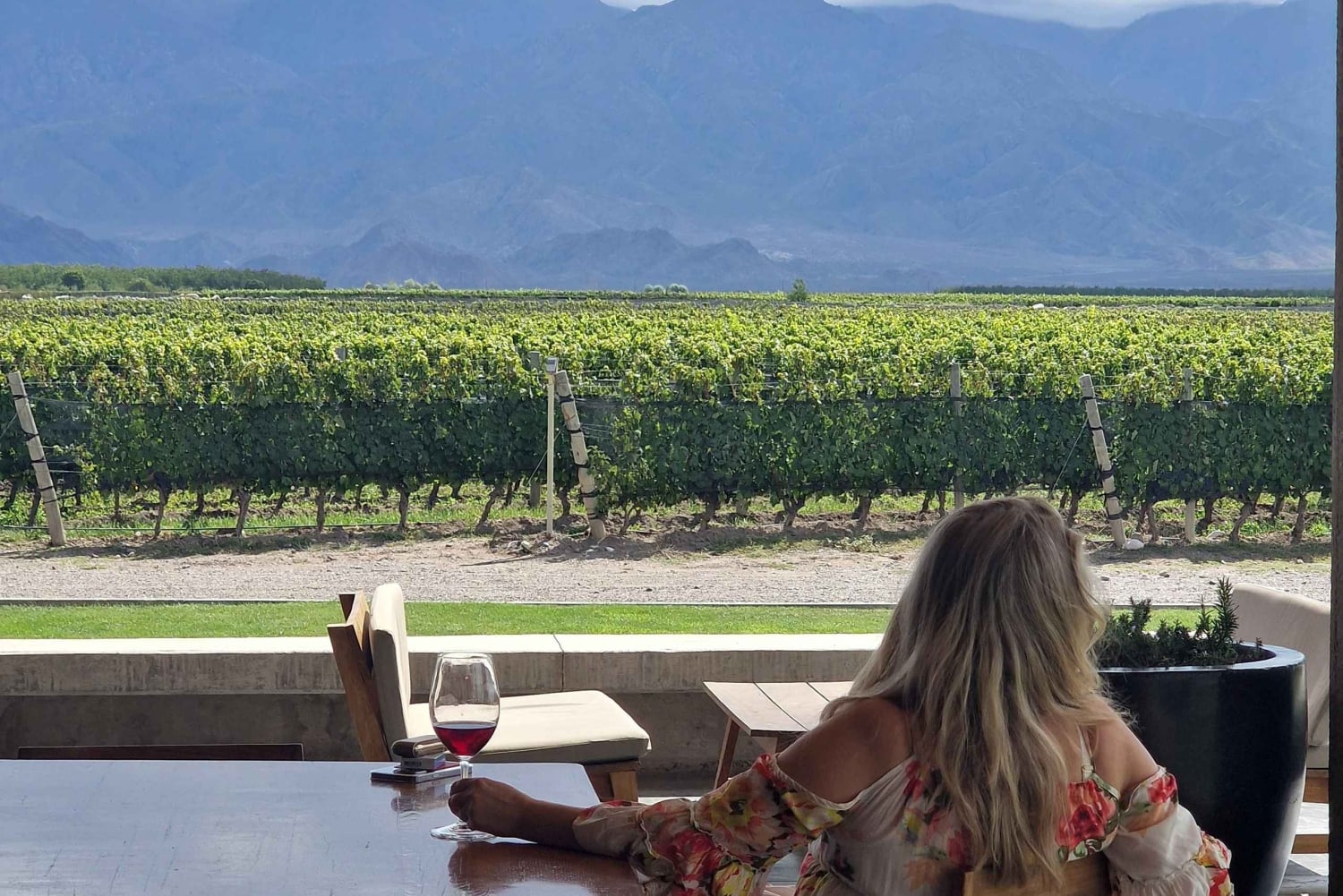 Uco-dalen, Mendoza: En dags opplevelse på en privat vintur