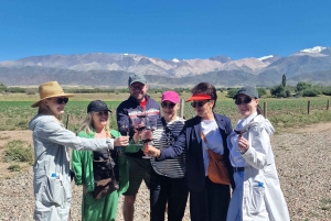 Valle dell'Uco, Mendoza: Tour privato del vino di un giorno