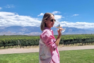 Valle dell'Uco, Mendoza: Tour privato del vino di un giorno