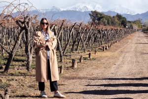 Valle dell'Uco, Mendoza: Tour privato del vino di un giorno