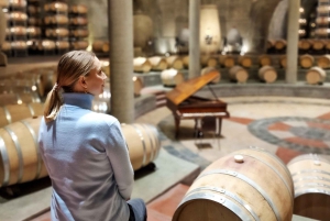 Valle dell'Uco, Mendoza: Tour privato del vino di un giorno