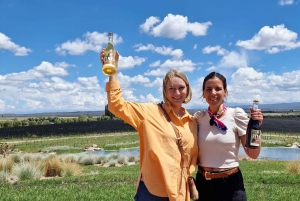 Valle dell'Uco, Mendoza: Tour privato del vino di un giorno