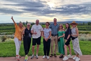 Uco-dalen, Mendoza: En dags opplevelse på en privat vintur