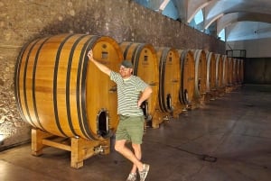 Uco-dalen, Mendoza: En dags opplevelse på en privat vintur