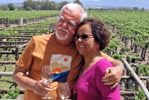 Uco-dalen, Mendoza: En dags opplevelse på en privat vintur