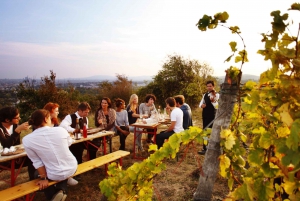 Ultimatives Maipú-Abenteuer: Weingut Tour & Gourmet Mittagessen