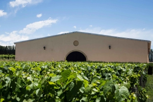 Ultimate Maipú Experience - Wineries & Lunch