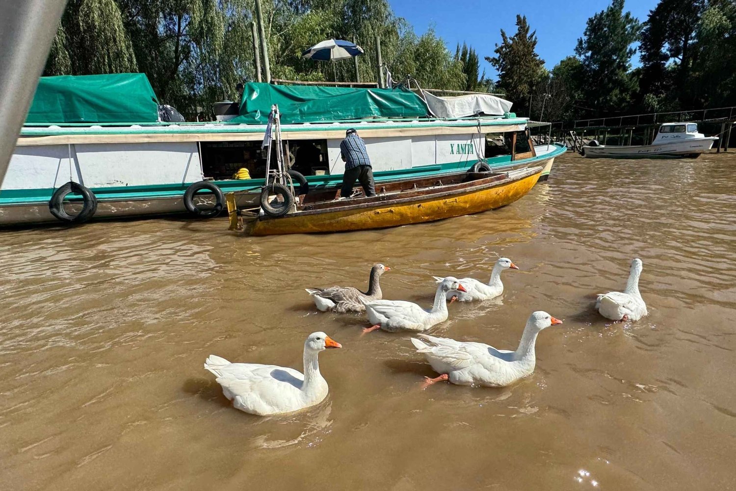 Navegación Privada de un Día por el Tigre y el Delta Único