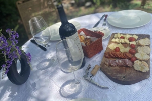 Asado de luxo e degustação de vinhos