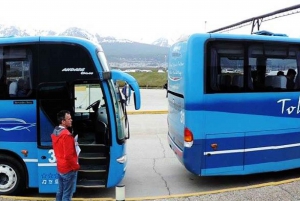 Ushuaia: 1-Way or Roundtrip USH Airport Transfer