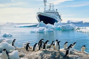 Ushuaia: 13-dagars klassisk expedition till Antarktis