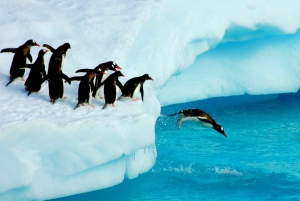 Ushuaia: 13-dagars klassisk expedition till Antarktis