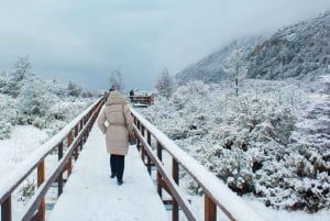 Ushuaia: 2-Day Combo: National Park + Beagle + Off Road - Winter