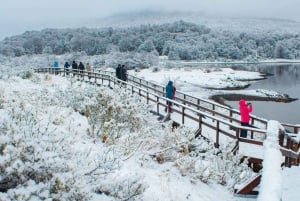 Ushuaia: 2-Day Combo: National Park + Beagle + Off Road - Winter