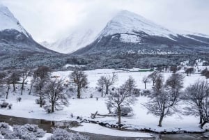 Ushuaia: 2-Day Combo: National Park + Beagle + Off Road - Winter