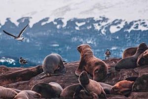 Ushuaia: 2-Day Combo: National Park + Beagle + Off Road - Winter