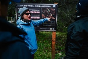 Ushuaia: Parco Nazionale 4x4 e Minitrekking