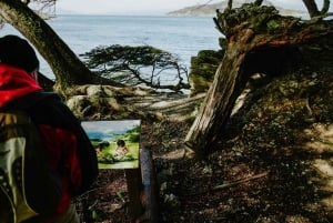 Ushuaia: Parco Nazionale 4x4 e Minitrekking