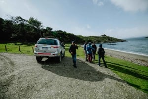 Ushuaia: Parco Nazionale 4x4 e Minitrekking